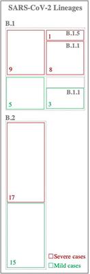 Within-Host Diversity of SARS-CoV-2 in COVID-19 Patients With Variable Disease Severities